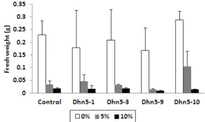 Fig. 1 Schematic illustration of a plant expression vector carrying p35S-hvDhn5 gene (Dhn5: barley dehydrin5 gene, p35S: CaMV35S promoter, pNOS: nopaline synthase promoter,  npt II: neomycin  phosphotransferase II, NOS3’: nopaline synthase terminator)