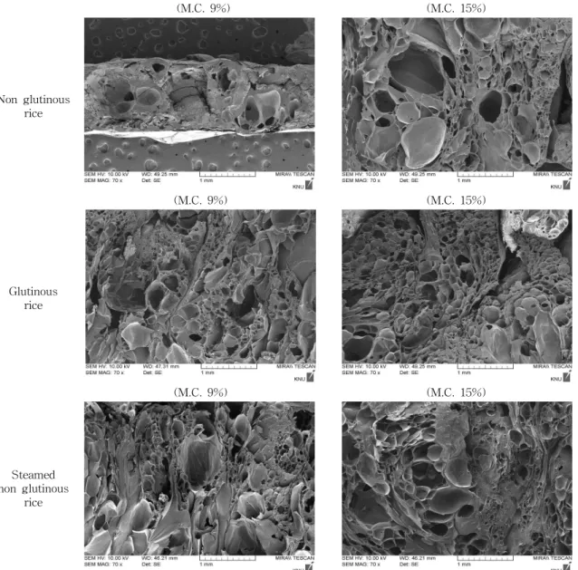 Fig. 2. Scanning electron micrographs of cross section of instant puffed rice snack made at moisture content (9, 15%) and puffing temperature (220 o C)