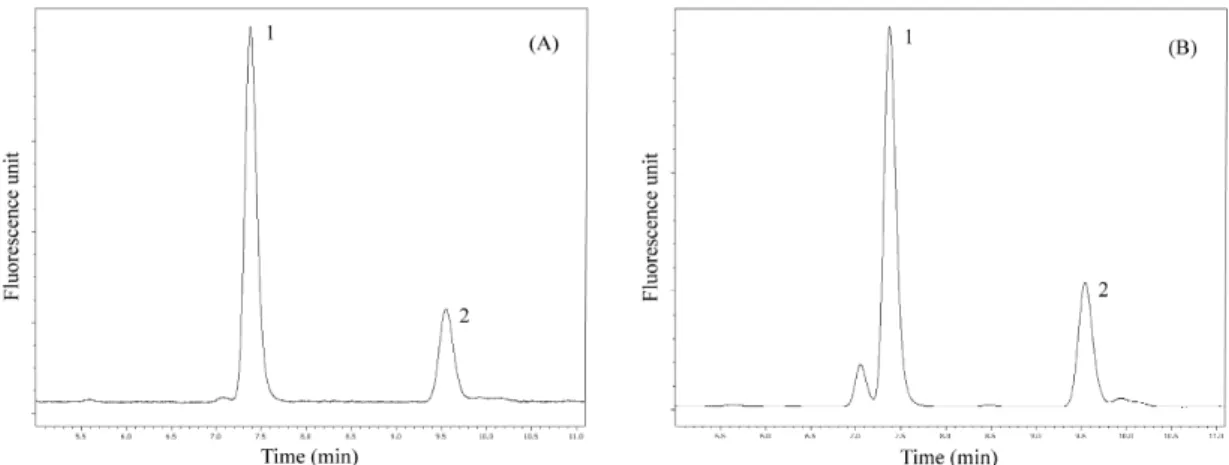 Fig. 1. Reversed-phase HPLC chromatograms of capsaicinoids using fluorescence detection
