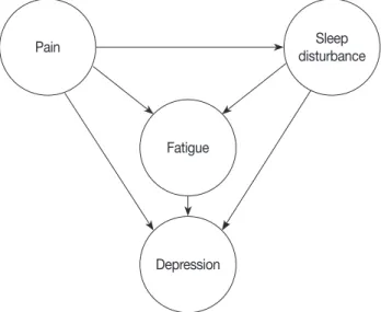 Fig. 1. Conceptual framework.