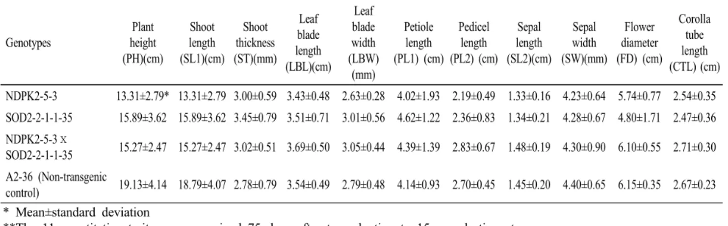 Table 4 Mean for 11 quantitative traits expressed in progeny from a cross of transgenic petunia lines, NDPK2-5-3 (T 2 ) and  SOD2-2-1-1-35 (T 4 ) Genotypes Plant height (PH)(cm) Shoot length (SL1)(cm) Shoot thickness (ST)(mm) Leaf blade length (LBL)(cm) Le