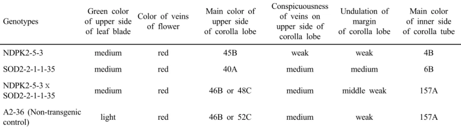 Table 6 Six qualitative traits expressed in progeny from a cross of transgenic petunia lines, NDPK2-5-3 (T 2 ) and SOD2-2-1-1-35 (T 4 ) Genotypes Green color  of upper side  of leaf blade  Color of veins of flower Main color of upper side of corolla lobe C