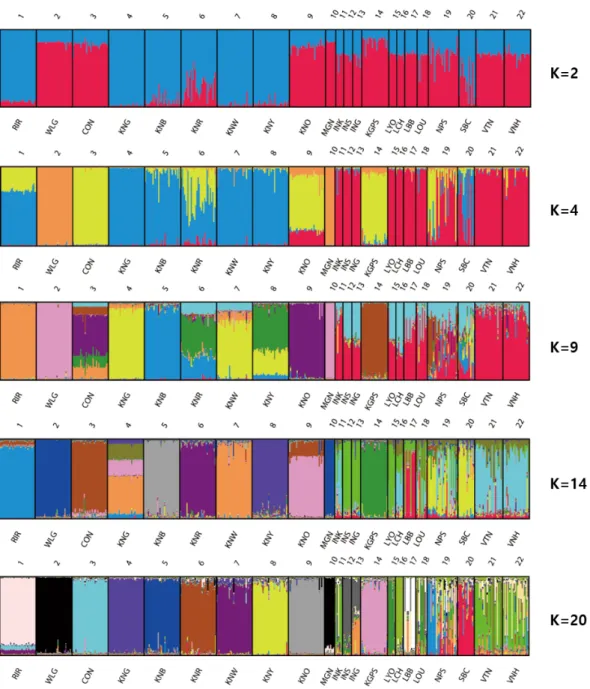 Figure 2.  Clustering assignment of the 22 chicken breeds obtained by STRUCTURE analysis