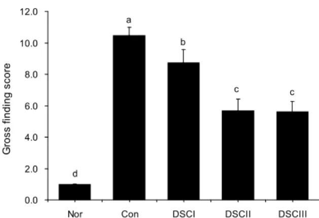 Fig. 1. Effects of dried sea cucumber on gross finding in gas- gas-tritis model by HCl