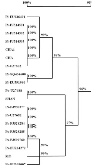 Table 3 Pair wise inter and intraspecific genetic distance (GD)  of genus  Paeonia  based on nrDNAIT Ssequence