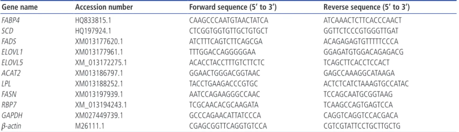 Table 1.  The primers used for gene cloning, quantitative real-time polymerase chain reaction 