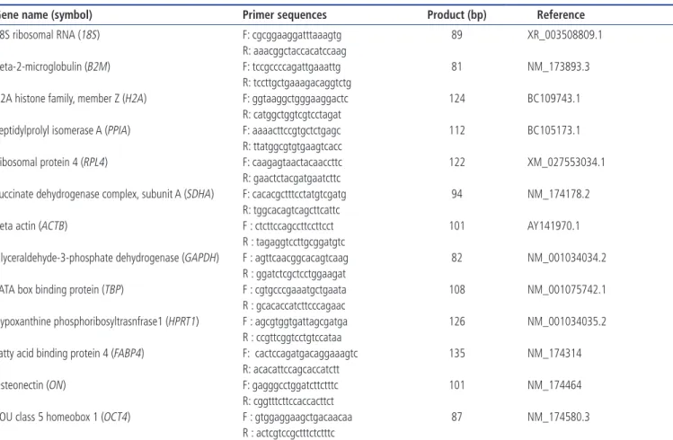 Table 1.  Information of primers used in the present study