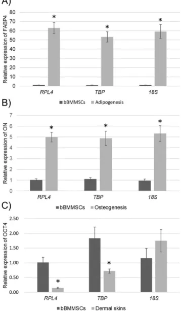 Figure 4.  Identification of stable RG by Normfinder. The stability of RGs is 