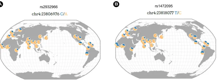 Fig. 1. The worldwide geographic distribution of  genetic polymorphisms using 1000 Genomes Project Consortium data