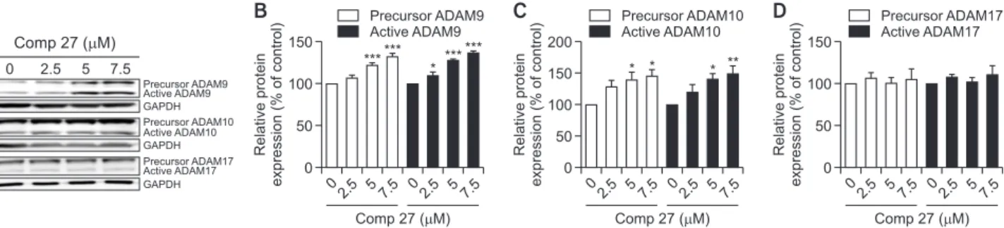 Fig. 3.  Effect of comp 27 on the Expression of ADAM family. (A) Western blot analysis of ADAM9, 10 and 17 after comp 27 treatment