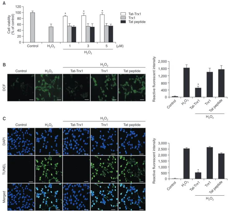 Fig. 2.  Effects of transduced Tat-Trx1 protein on cell viability in response to oxidative stress