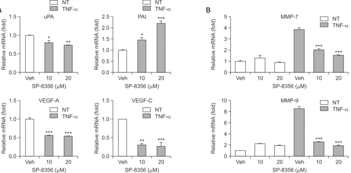 Fig. 6.  SP-8356 modulates the expression of metastasis-related genes. (A) The effect of SP-8356 on relative mRNA expression levels of  uPA, PAI, VEGF-A, and VEGF-C in Huh-7 cells was determined by RT–qPCR