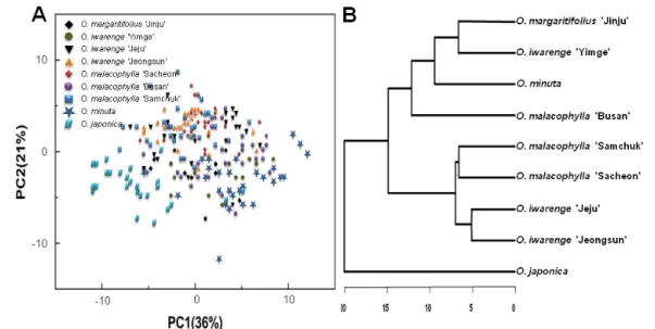 Fig. 3 PCA score plot (A) and HCA dedrogram (B) of FT-IR data from leaves of nine Orostachys plants