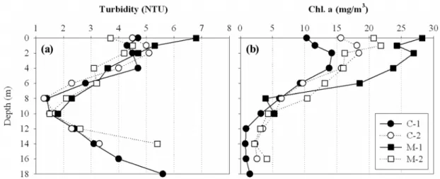 Fig.  5.  Variation  of  turbidity  and  chlorophyll  a  concentration  in  depth  at  Chudong  and  Muneui  areas.