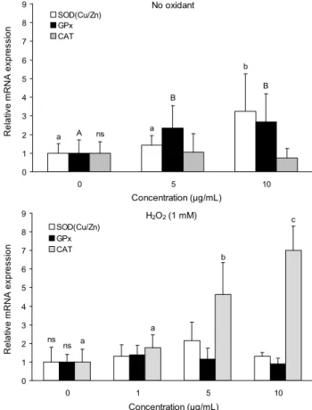 Fig. 5. Effect of the RER ethyl acetate extract on relative mRNA expression of the antioxidant enzymes in HepG 2 cells treated with or without H 2 O 2 