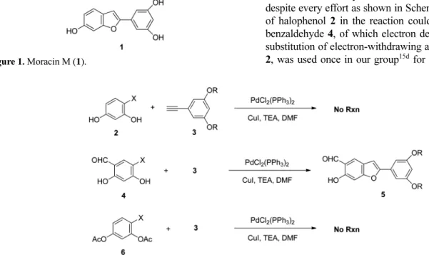 Figure 1. Moracin M (1).