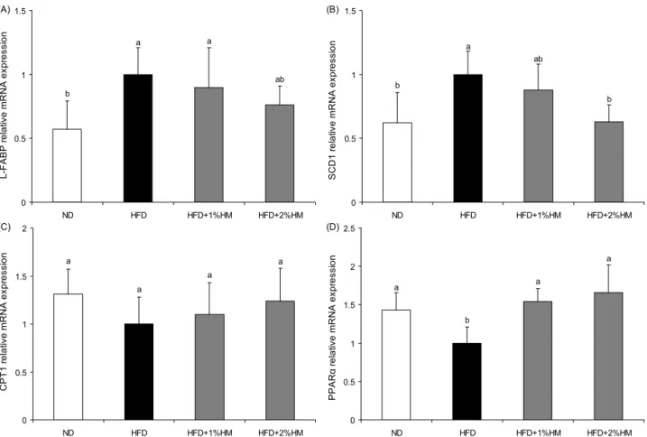 Fig. 6. Effect of HM on relative mRNA expression in livers from HFD-fed C57BL/6J mice