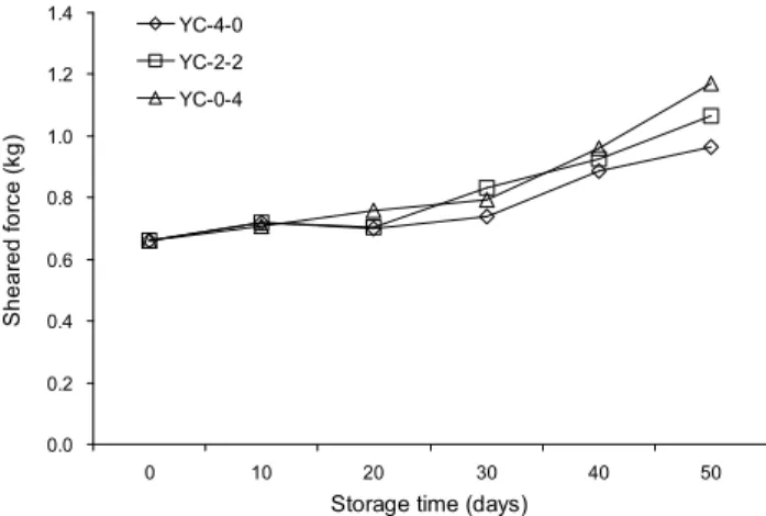 Fig. 3. Changes in sheared force of yacon jangachi prepared in different salt concentrations