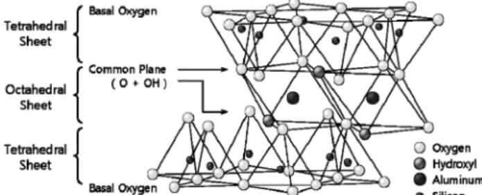Fig.  1.  Structure  of  pyrophyllite  clay.