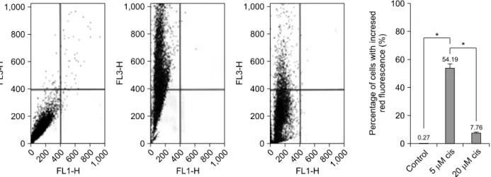 Figure 5. AVOs development in cisplatin-treated H460 cells and its quantificanion using FACS analysis