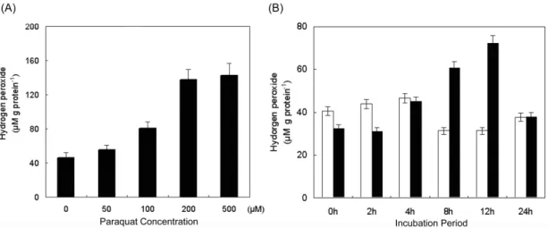 Fig. 1 Measurement of hydrogen peroxide in MV-treated plants. (A) Plants were sprayed with 0, 50, 100, 200 and 500 μM MV