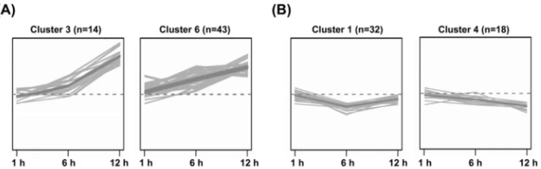 Fig. 2 k-means clustering of the gene expression data. Cluster analysis of (A) 50 ESTs down-regulated and (B) 57 ESTs up-regulated  after MV treatment in hot pepper