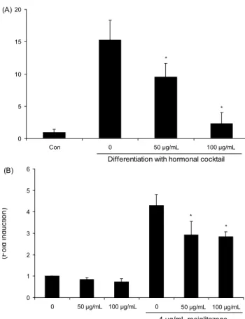 Fig. 4. The effect of EAAP on GLUT4, adiponectin expression in differentiated 3T3-L1 preadipocytes