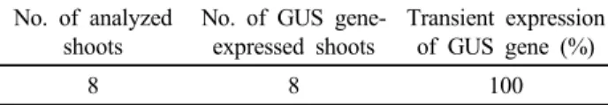 Table 1 Identification of intron-GUS gene expression from  shoots obtained from Intron-GUS gene-transferred somatic  embryo (including embryogenic calluses)