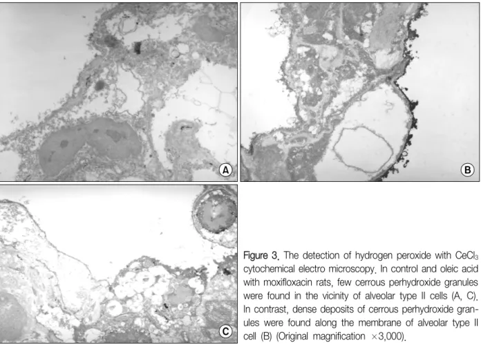 Figure  3.  The  detection  of  hydrogen  peroxide  with  CeCl 3