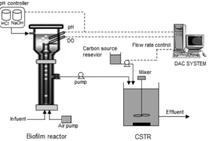 Fig.  1.  Schematic  diagram  of  the  combined  reactor  system  for  nitrogen  removal.