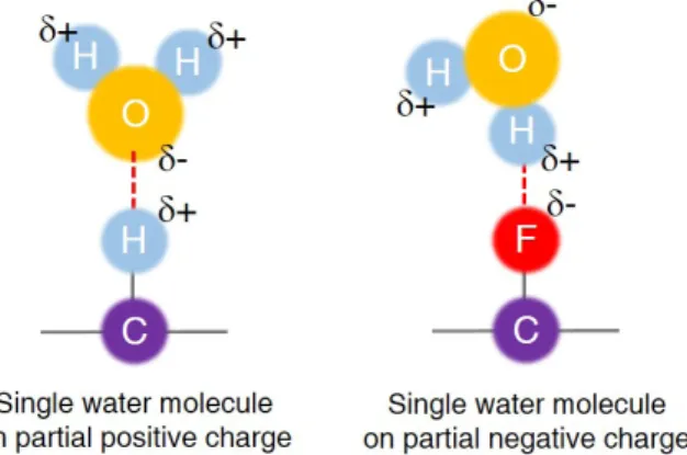 Fig. 8.   표면 전하를 갖는 화학적 기능화 그래핀 표면 위 물 분자의  흡착을 묘사하는 모식도. 수소와 불소가 화학적으로 흡착된  기능화 그래핀을 가정함.