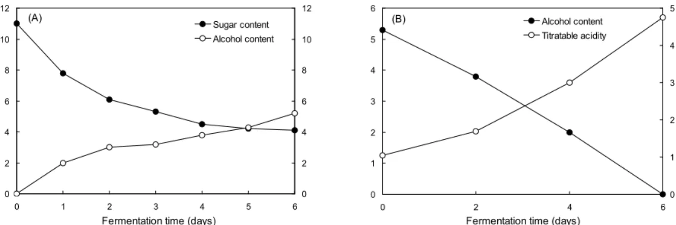 Fig. 1. Production of yacon vinegar by two-step fermentation. A: Changes of sugar and alcohol contents during alcohol fermentation of yacon juice