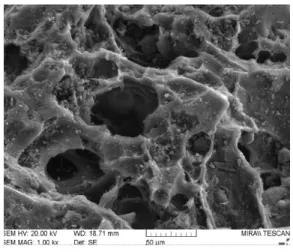 Figure 1. Pore size distribution and pore structure of activated carbon.