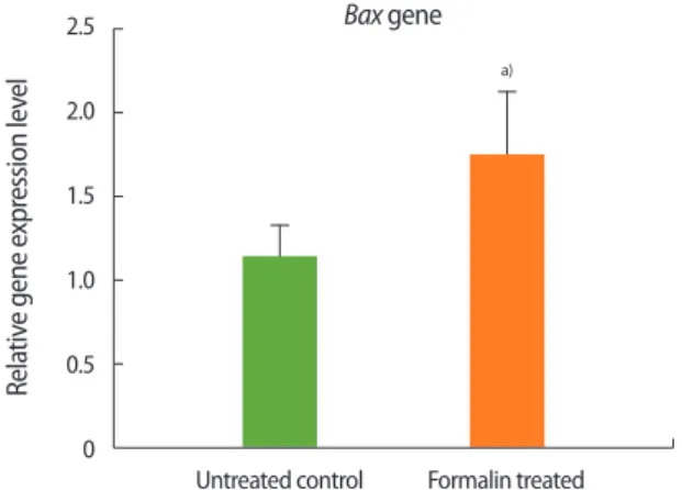 Figure 2. Relative expression of Bcl-2 in the formalin-treated group 