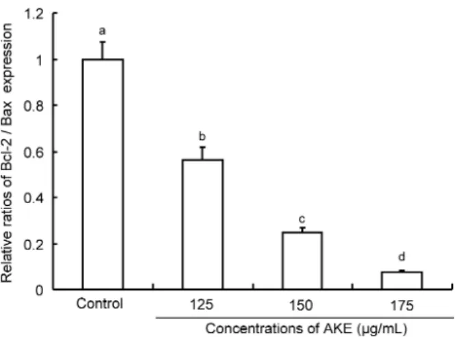 Fig. 5. The effect of Angelica keiskei extract (AKE) on the Bcl-2/Bax ratio in human breast cancer MDA-MB-231 cells.
