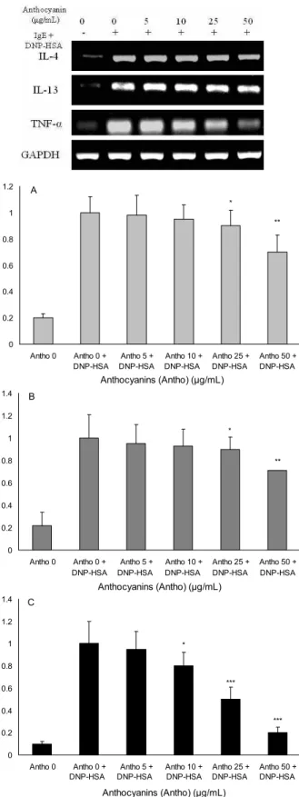 Fig. 4. Effect of anthocyanins on mRNA expression of the IL-4, IL-13 and TNF-α. The data are the means±SD (n=3).