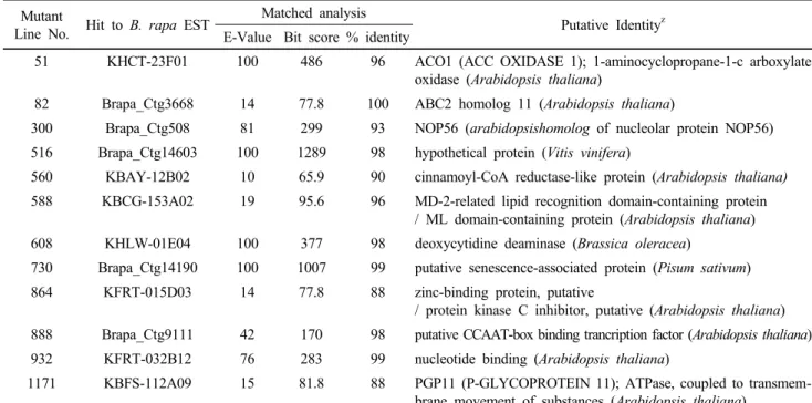 Table 1 Comparison with T-DNA tagged flanking sequence and Brassica rapa uni-gene EST sequence by BLASTX algorism Mutant