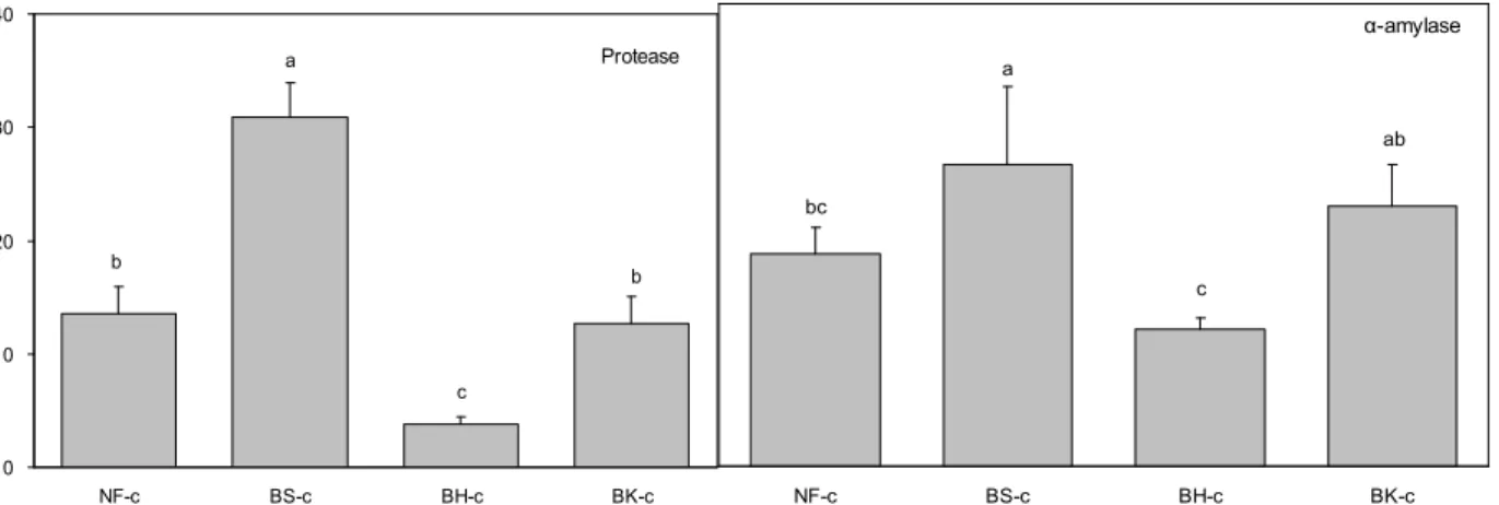 Fig. 2. Enzyme activities of chunggukjang fermented at 40 o C for 72 hours with different kinds of starter