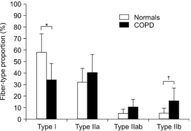Figure  3.  Fiber-type  composition  of  the  vastus  lateralis  muscle  found  in  chronic  obstructive  pulmonary  disease  (COPD)  patients  and  in  normal  subjects