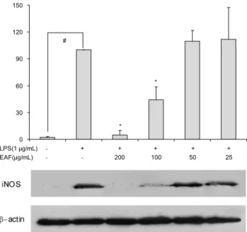Fig. 1. Effects of the Erigeron annuus L. flower methanol extract on cell viability and nitric oxide production in  lipo-polysaccharide-stimulated RAW264.7 macrophages