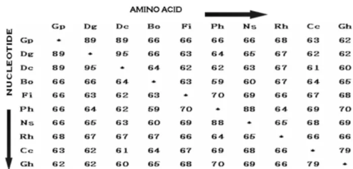 Fig. 3 Nucleotide and predicted amino-acid sequence of DFR-cDNA clone from G. paniculata