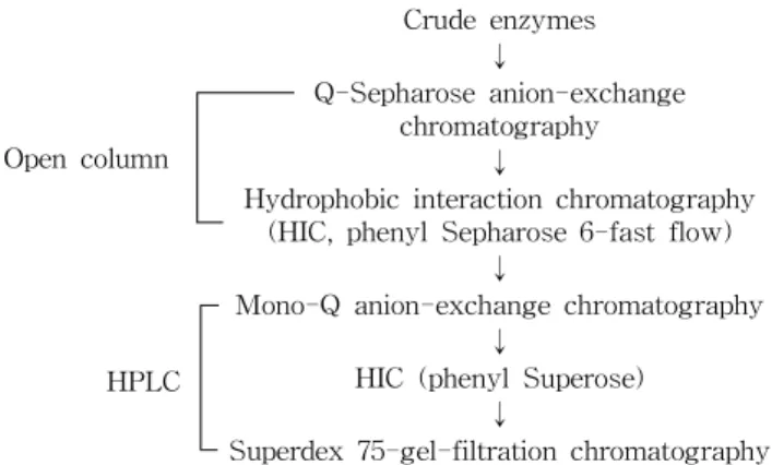 Fig. 1. Procedure for purification of oyster mushroom PPO.