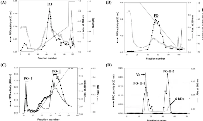 Fig. 2. Separation of oyster mushroom PPO using various chromatographies including Q-sepharose anion-exchange chromatography (A), HIC (B), mono-Q anion-exchange chromatography (C), and gel-filtration chromatography (D)