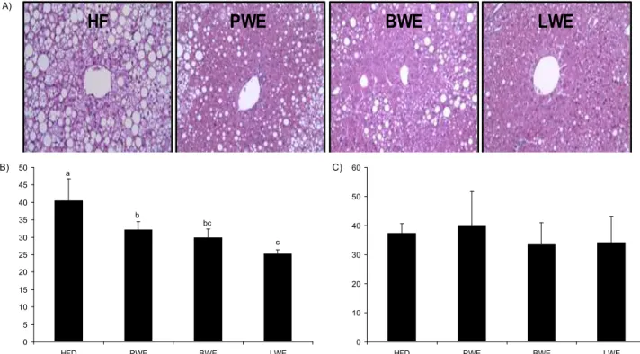 Fig. 2. Effects of PWE, BWE and LWE supplementation on hepatic lipid content and morphology in rats fed a high-fat diet.