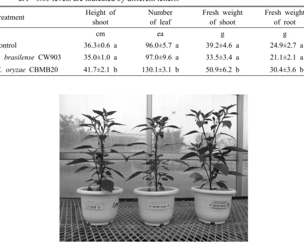 Table 3. Effect of plant growth promoting bacteria on the growth of red pepper plant. Growth  parameters were measured 45 days after transplant and each value represents mean of three  replicates per treatment