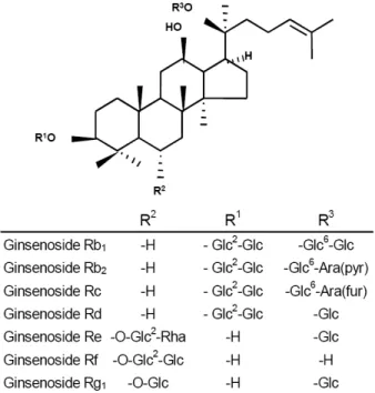 Fig. 1 Structure of triterpene aglycon and assembling of sugar  molecules for final ginseonside production of Panax ginseng 또한,  부정근을  이용한  생물반응기  시스템이  확립되어 대량생산이  산업적으로  생산이  이루어지고  있다 (Hahn  et al