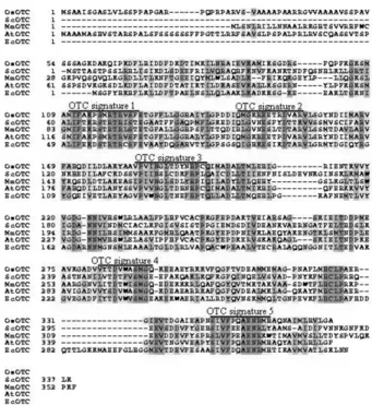 Fig. 2 Amino acid sequence alignment of OTCs using Boxshade program after CLUSTAL W alignment
