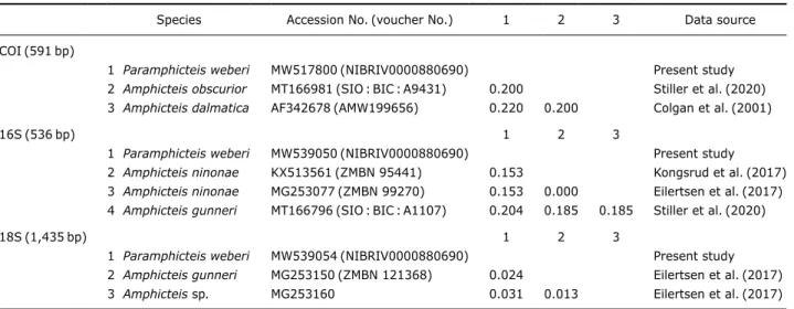 Table 1. Pairwise genetic distances of three gene regions (COI, 16S rDNA, 18S rDNA) between Korean specimens of Paramphicteis 
