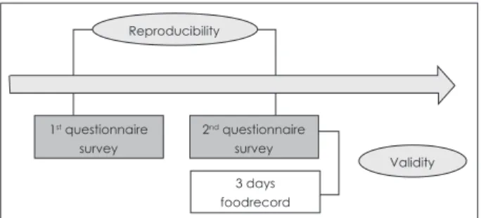 Fig. 1. Design of validation study for a developed questionnaire.