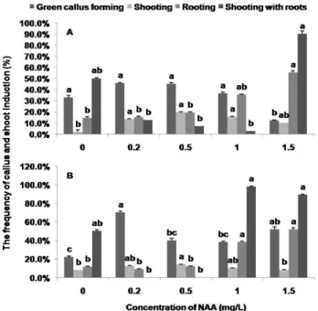 Fig. 4 The frequency of callus and shoot induction (%) in MS  medium supplemented with various concentrations of NAA (0, 0.2,  0.5, 1.0 or 1.5 mg/L), 2.0 mg/L Kn and 2.0 g/L casamino acid of  WT (A) and JS (B)